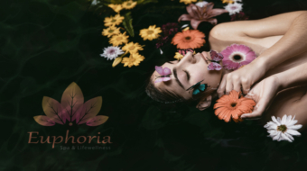 4177912